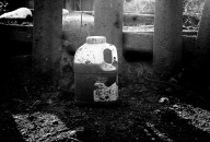 Christopher T Finch - CLOSED